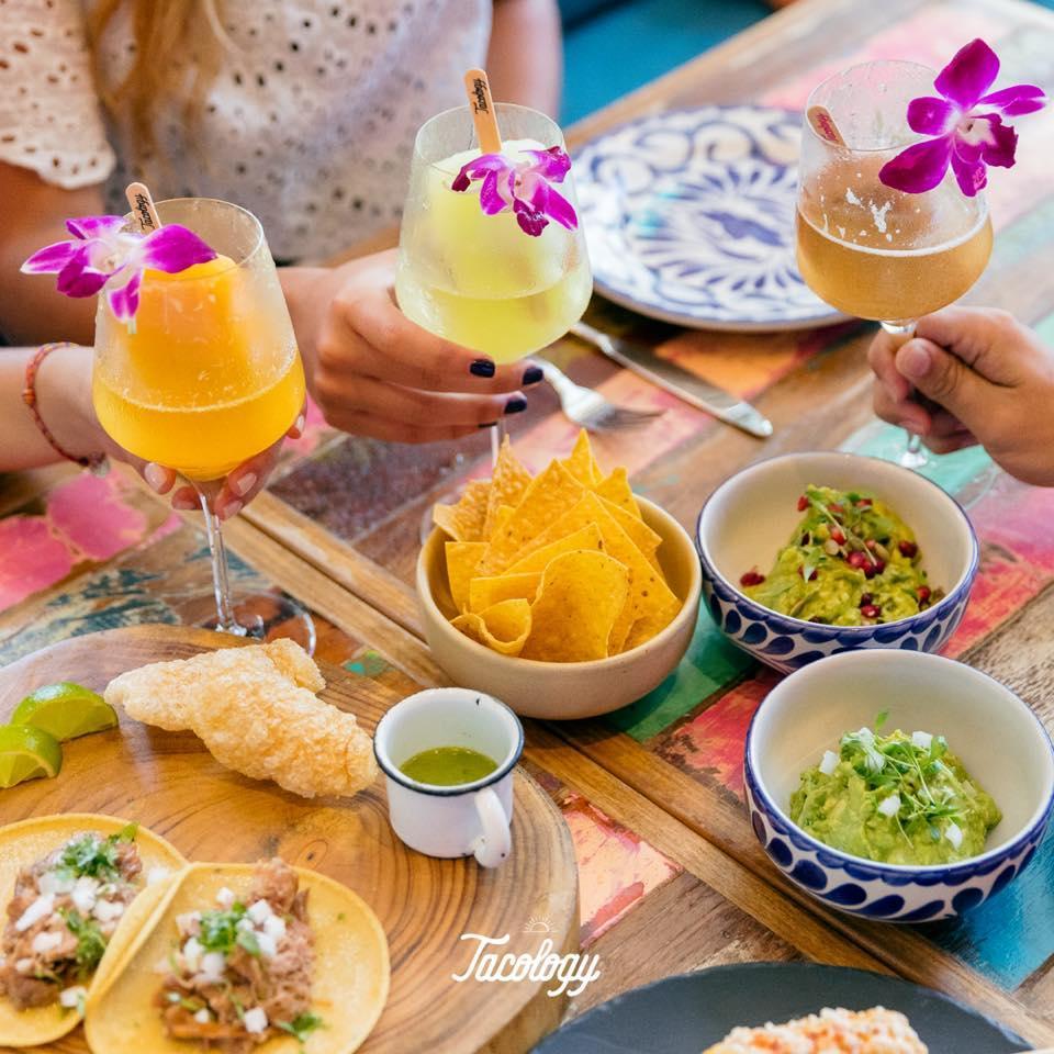 Tacology Restaurant Restaurant Brickell, Mexican Food